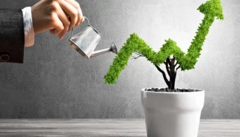 Investing for Dummies: where to invest?